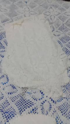 quraishia