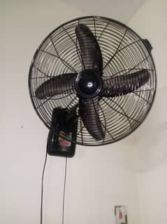 Royal bracket fans