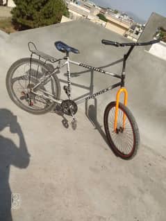 Pakistani style bicycle