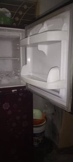 fidge for sale