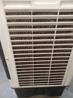 Air cooler ecm5000