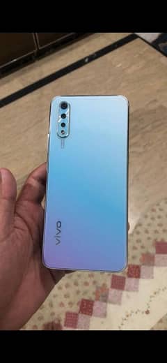ViVo