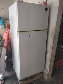 Philips Fridge urgent selling