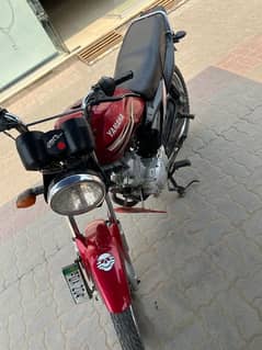 Ybz125