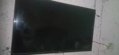 lcd TCL