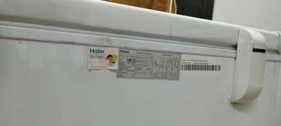 HAIER FREEZER