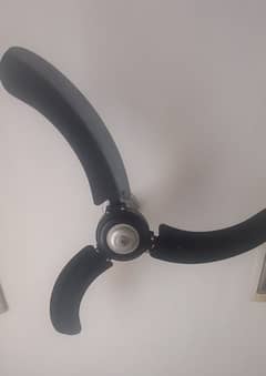 celing fan