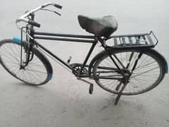 cycle