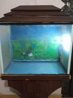 aquarium