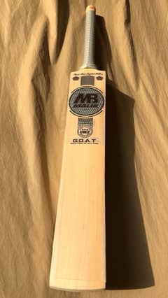 Cricket