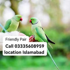 Pair