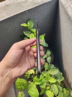 OnePlus 7T Pro McLaren Edition