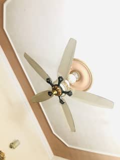 5Wings Ceiling Fan (AC/DC) 50watt