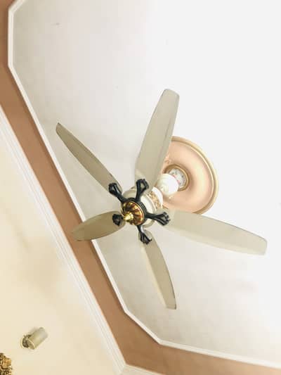 5Wings Ceiling Fan (Inverter) 30watt