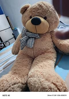 teddy bear