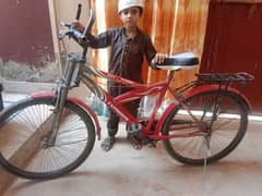 Typhoon classic bicycle available in best price