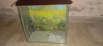 Aquarium Available