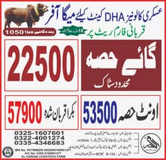ijtamai qurbani 2025/bull ,cow,wacha ,bachra/qurbani hissa/03251607601
