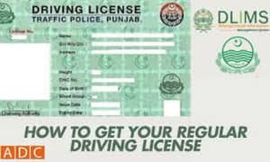 learn driving and get license graunted