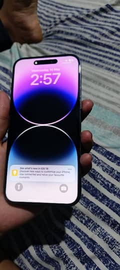 urgent sale