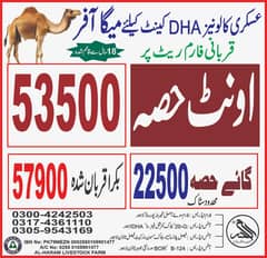 Qurbani hissa | ijtamai qurbani 2025| bull | Camel Cow Goat