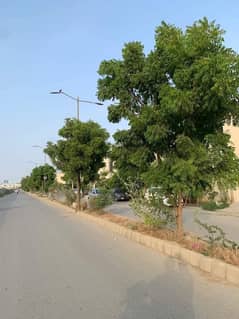 240 SQUARE YARDS PLOT FOR SALE