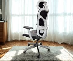 Executive Chair ergonomic comfortable Chair