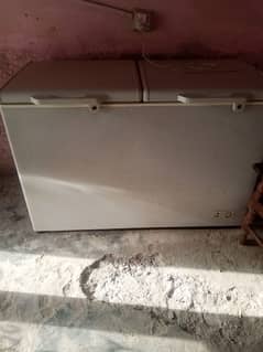Farezar for sale Hammad Ahmad 03280495534