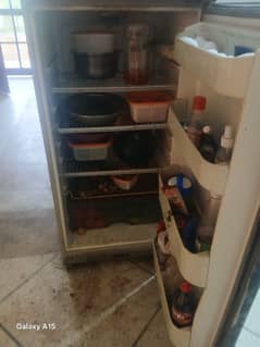 fridge