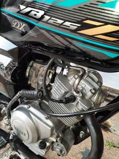 yamaha ybz dx