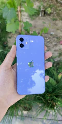 iPhone 12 JV Purple rare