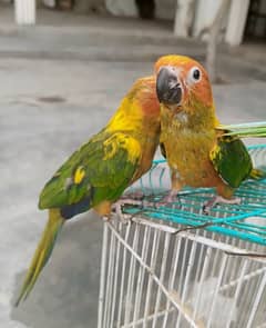 For