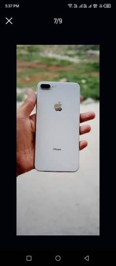 urgent sale 03119186315 Whatsapp rapta karo Lana vala