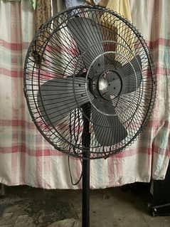Pedestal fan