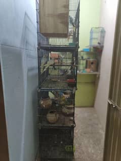 Setup for sale