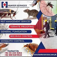 Pest