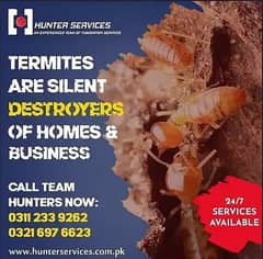 Deemak Control Services/Fumigation Spray/Pest Control/Termite Control