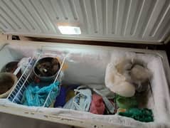 Weave Deep Freezer