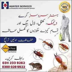 General fumigation Termite treatment Pest control services in karachi