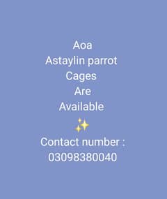 Astaylin parrot
