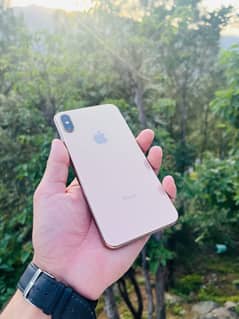 Iphone Xs max 256Gb Non Pta