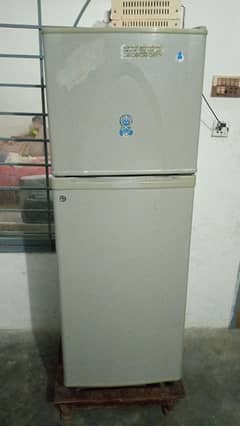 dalwance frege medium size