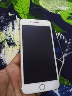 Iphone 7 Plus