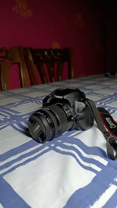 Canon 200d with kit lens and 50 mm lens
