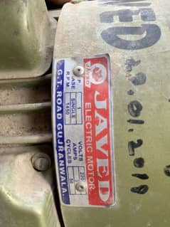 Jawed