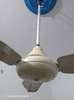 Ceiling Fan