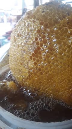 pure honey big bee. بڑی مکھی کا خالص شہد دستیاب ہے کراچی