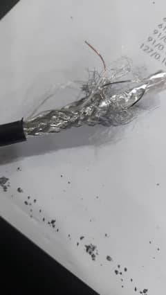 cat 6 ftp sftp
