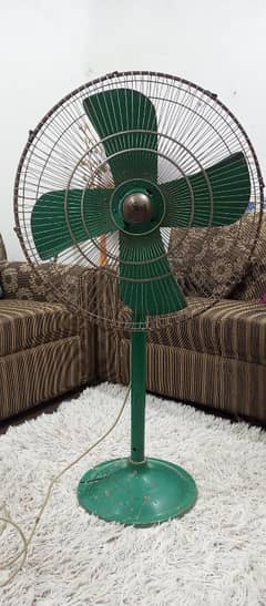Pak Madina Fan