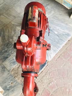 FAISAL motor  DOUBLE AMPELAR BRASS AMPELAR GENUINE CONDITION